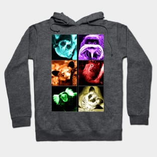 Colourful Critters Hoodie